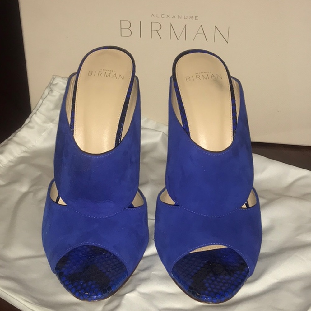 Alexandre Birman Python Mules - image 2